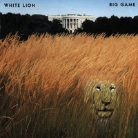 Little Fighter - White Lion