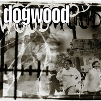 Pain Is Gone - Dogwood