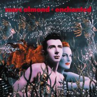 Orpheus In Red Velvet - Marc Almond