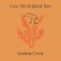A Place For Grief - Graham Coxon