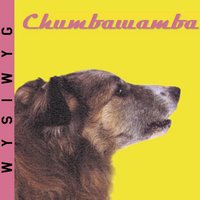I'M With Stupid - Chumbawamba