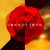 Wild Roses - John De Sohn