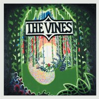 Sunshinin - The Vines
