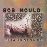 Who Was Around - Bob Mould