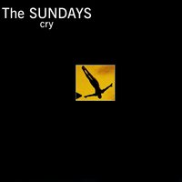 Through The Dark - The Sundays