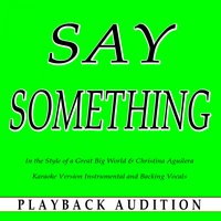 Say Something (In the Style of a Great Big World & Christina Aguilera) - Playback Audition