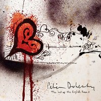 Don't Look Back - Peter Doherty