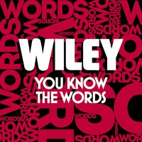 You Know the Words - Wiley