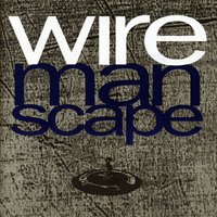 What Do You See? - Wire