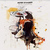Lady Don't Fall Backwards - Peter Doherty