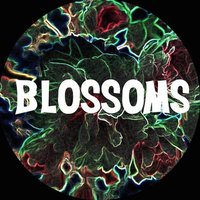 You Pulled a Gun on Me - Blossoms
