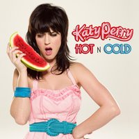 Hot N Cold - Katy Perry, Innerpartysystem