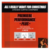 All I Really Want (Key-D-Premiere Performance Plus w/ Background Vocals) - Steven Curtis Chapman