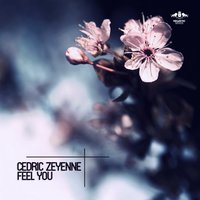 Feel You - Cedric Zeyenne