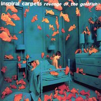 Two Worlds Collide - Inspiral Carpets