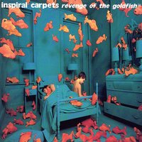 Saviour - Inspiral Carpets