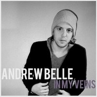 Andrew Belle - In My Veins lyrics
