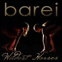 Wildest Horses - Barei
