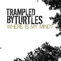 Where Is My Mind? - Trampled By Turtles