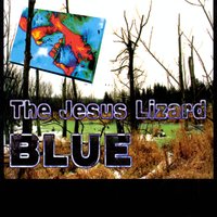 Needles For Teeth - The Jesus Lizard