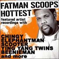 It Takes Scoop - DJ Kool, Fatman Scoop