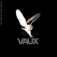 Are You with Me - Vaux