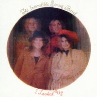 Picture's in a Mirror - The Incredible String Band