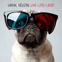 Shaken - Hawk Nelson