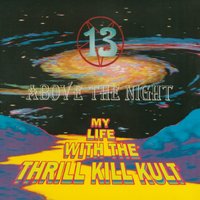 13 Above The Night - My Life With The Thrill Kill Kult