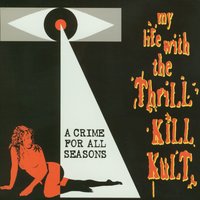 Fangs Of Love - My Life With The Thrill Kill Kult