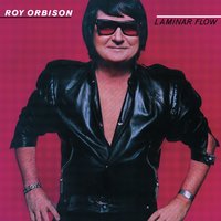 We're into Something Good - Roy Orbison