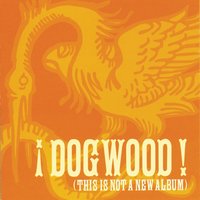 What I Should Have Said - Dogwood