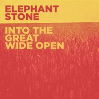 Into the Great Wide Open - Elephant Stone