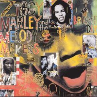 Love Is The Only Law - Ziggy Marley And The Melody Makers