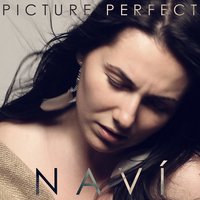 Picture Perfect - Navi