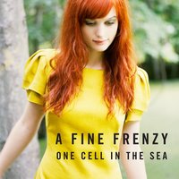 You Picked Me - A Fine Frenzy