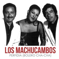 Perfidia (Bolero Cha-Cha) - Los Machucambos