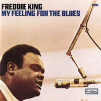 The Things I Used to Do - Freddie King