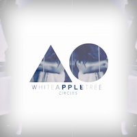 Circles - White Apple Tree