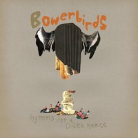 Dark Horse - Bowerbirds