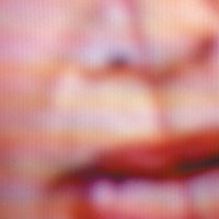 Birth Skin/Death Leather - The Blood Brothers