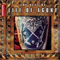 Honeycomb - Life Of Agony