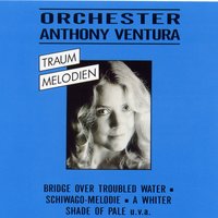 Tornero - Anthony Ventura