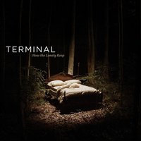 Pillow Fighting - Terminal
