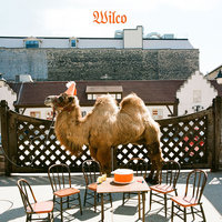 Everlasting Everything - Wilco