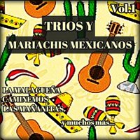 Amapola - Trio Los Panchos, Gigliola Cinquetti