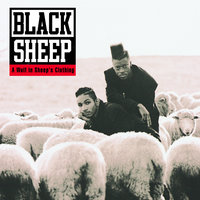 Blunted 10 - Black Sheep