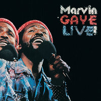 Thanks To The Orchestra - Marvin Gaye