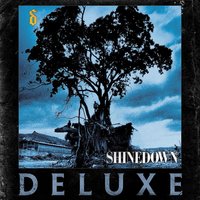 Soon Forgotten - Shinedown