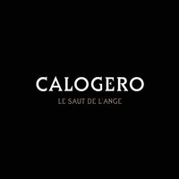 Le Saut De L'Ange - Calogero